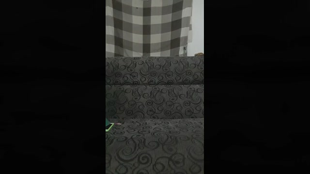 Saradao1996  18-06-2022